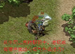 ����������תְ��ʿ�����������Щʵս�ĵ����������ɣ�