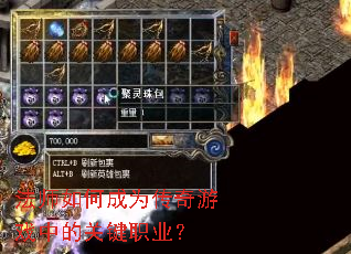 ��ʦ��γ�Ϊ������Ϸ�еĹؼ�ְҵ��