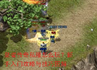 ���ߴ���˽����ô�棿�������Ź����뼼��ͼ��