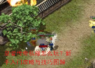 ���ߴ���˽����ô�棿�������Ź����뼼��ͼ��