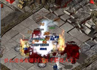 ʲô�����Ӳ���ö��ֻ���������