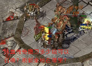 ��Ѫ����ӥ�����ټ������ٻ���ˢ�����������