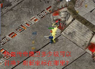 ��Ѫ����ӥ�����ټ������ٻ���ˢ�����������