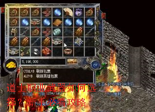 ��ʿְҵ�������ѡ�����ֱؿ�����