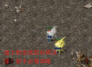 ��ʿְҵ�������ѡ�����ֱؿ�����