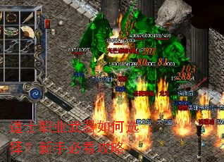 ��ʿְҵ�������ѡ�����ֱؿ�����