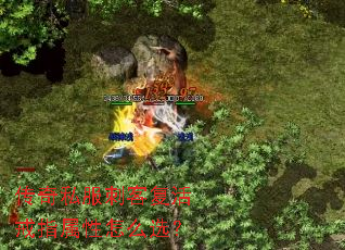 ����˽���̿͸����ָ������ôѡ��