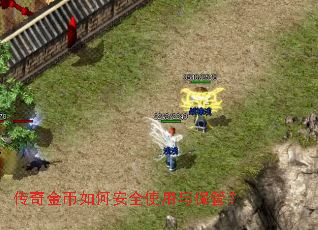 ��������ΰ�ȫʹ���뱣�ܣ�