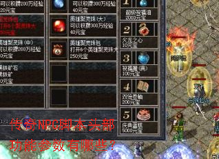 ����NPC�ű�ͷ�����ܲ�������Щ��