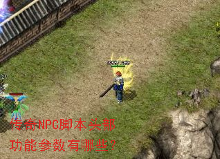 ����NPC�ű�ͷ�����ܲ�������Щ��