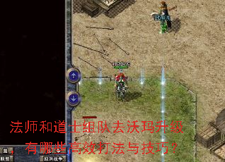 ��ʦ�͵�ʿ���ȥ��������������Щ��Ч���뼼�ɣ�