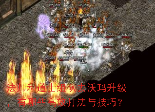 ��ʦ�͵�ʿ���ȥ��������������Щ��Ч���뼼�ɣ�