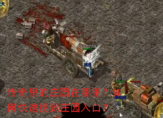 �������ׯ԰�������ο����ҵ�ׯ԰��ڣ�