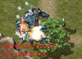 �����Ч��ȡ��˪�����е���֮����װ����