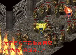 ����ٷ����غ����Ӧ��Ш���ͻȻϮ����