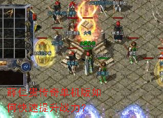 Ѧ�ʹ��浥������ο�������ս����