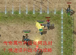 ���������������ѡ�ԣ���������ս��������