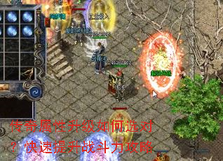 ���������������ѡ�ԣ���������ս��������