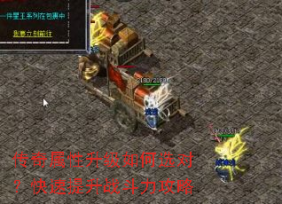 ���������������ѡ�ԣ���������ս��������