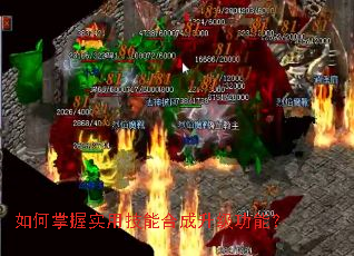 �������ʵ�ü��ܺϳ��������ܣ�