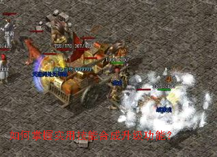 �������ʵ�ü��ܺϳ��������ܣ�