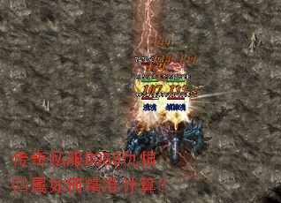 ����˽��BOSS��޹�����ξ�׼���㣿