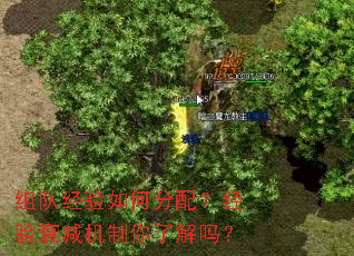 ��Ӿ�����η��䣿����˥���������˽���