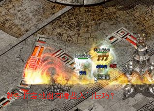 ���ִ򱦵�ͼ����Щ���ż��ɣ�