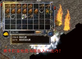 ���ִ򱦵�ͼ����Щ���ż��ɣ�