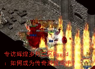 ר�ûԻ����¶���David����γ�Ϊ������Ϸ���֣�