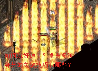 �����õ�ʿ�����ն������ֵĹؼ���������Щ��