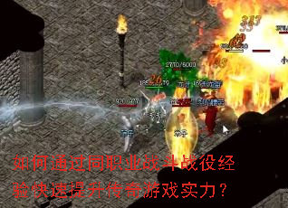 ���ͨ��ְͬҵս��ս�۾����������������Ϸʵ����