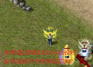 ���ͨ��ְͬҵս��ս�۾����������������Ϸʵ����