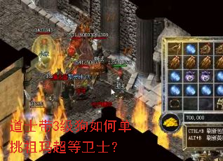 道士带3级狗如何单挑祖玛超等卫士? 道士带3级狗如何单挑祖玛超等卫士?