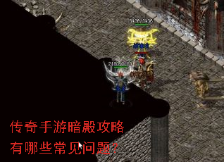 �������ΰ��������Щ�������⣿