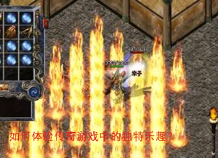 ������鴫����Ϸ�еĶ�����Ȥ��