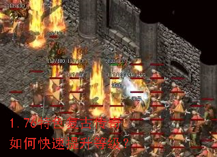 1.76��ɫ���Ŵ�����ο��������ȼ���