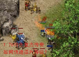 1.76��ɫ���Ŵ�����ο��������ȼ���