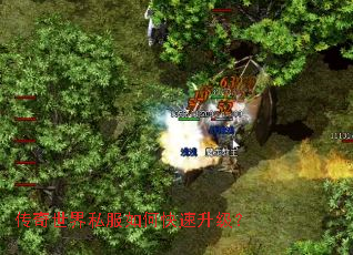 ��������˽����ο���������