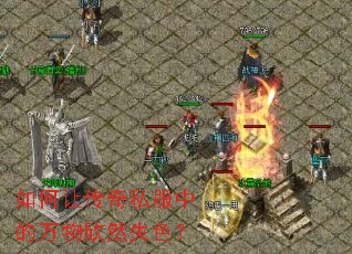 ����ô���˽���е�������Ȼʧɫ��