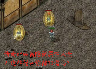 ����sfװ���������Դ�ȫ����Щ�����㶼֪����