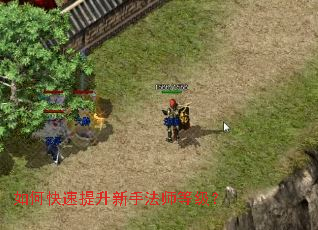 如何快速提升新手法师等级? 如何快速提升新手法师等级?