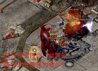 ������轵�٣�����ٻ����ר��ǿ���ް飿