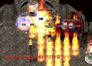 ��λ�ô���ʥ��BOSSѫ�£�