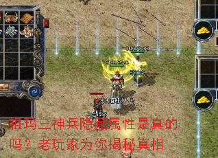 �����������������������������Ϊ���������