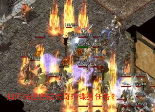 ��ο�����ɴ������������