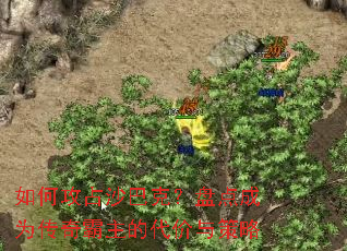 ��ι�ռɳ�Ϳˣ��̵��Ϊ��������Ĵ��������