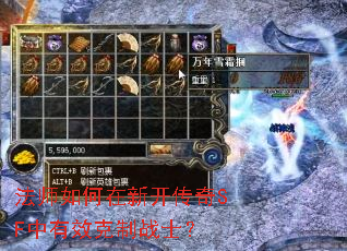 ��ʦ������¿�����SF����Ч����սʿ��