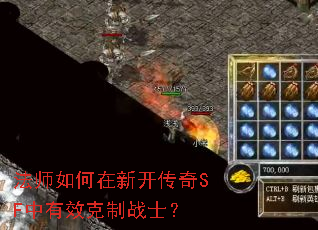 ��ʦ������¿�����SF����Ч����սʿ��