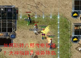 �����ת�˲�����˽��������ָ·��ǿ�ƽ���